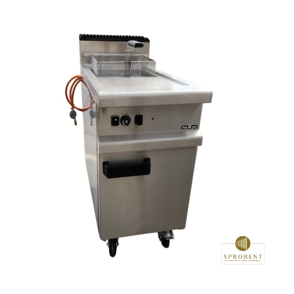 Friteuse 18L